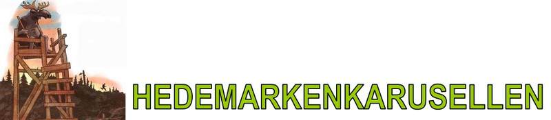 Hedemarkenkarusellen